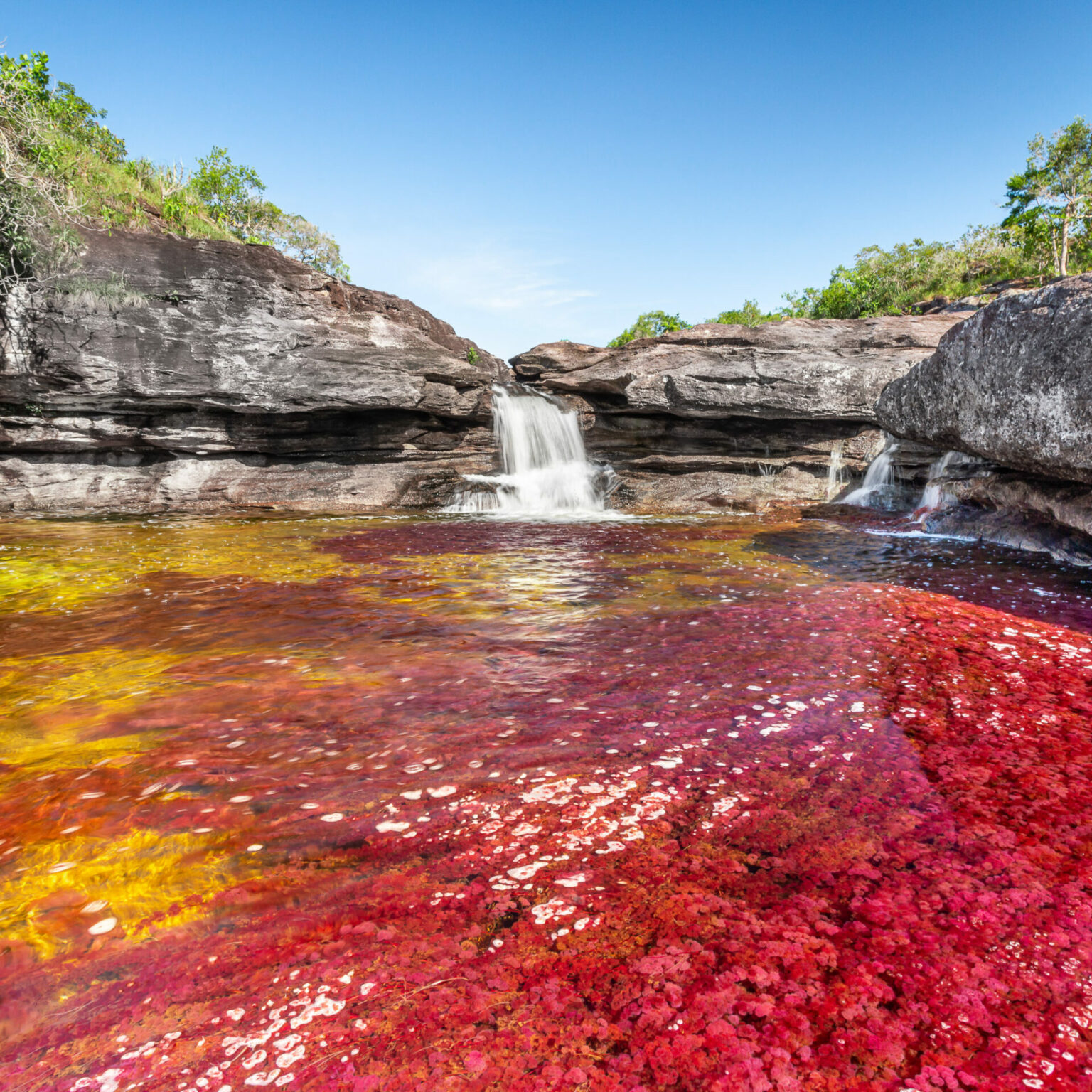 Caño Cristales